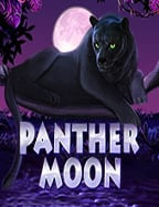 แทง บอล 99สล็อต ผ่าน ท รู วอ ล เล็ ต สนุก ไม่รู้จบ