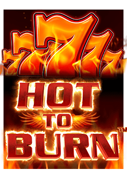 นักพนันบอล: เปิดสูตรลับวางเงินอย่างไรให้ได้ผล